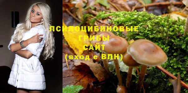 спиды Балабаново